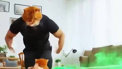This cat was disobedient and got...
