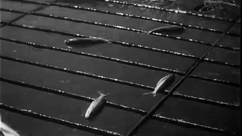 Japanese submarine sinkings in ... - Japanese submarine sinkings in the Indian Ocean - 428-npc-10012