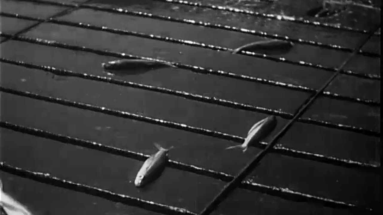 Japanese submarine sinkings in ... - Japanese submarine sinkings in the Indian Ocean - 428-npc-10012