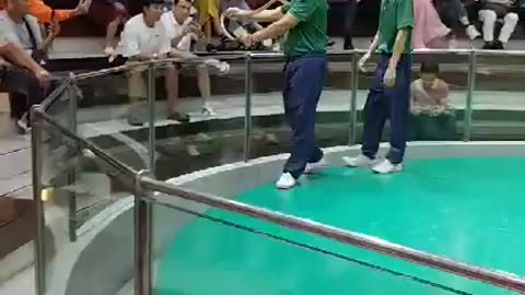 Circus Magic Unleashed! You Won’t Believe What Happened
