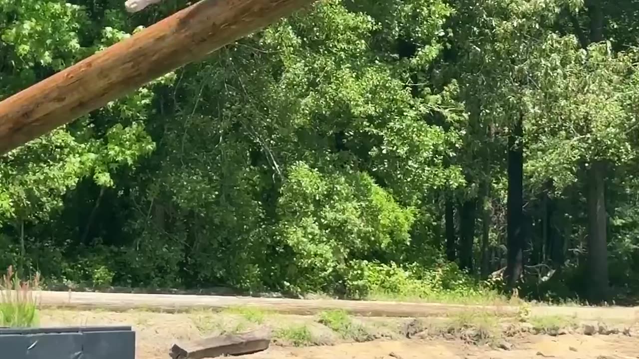 Mr beast ne ye kia kr dia