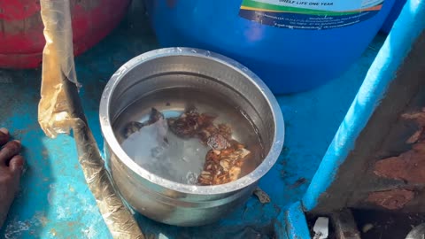 Tiefseefieber Muscheljagd vor Sri Lankas Küste #SriLankaAngeln #Muschelsuche #Küstenabenteuer