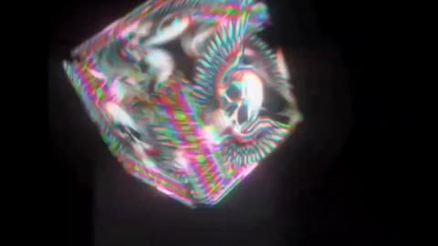 Sig Heil Mother Fuckers