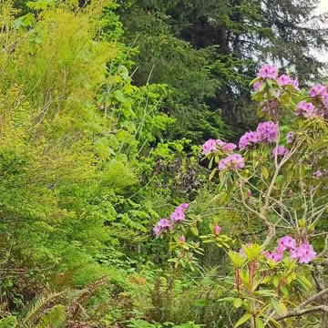 The Beautiful Garden of Scripture