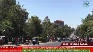 Oduu Galgala ONM-ABO Sadaasa 19-2025 itti dhiyaadhaa!