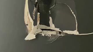 🤣💪 Epic Athletic Women Showing Off Skills! | FunFM