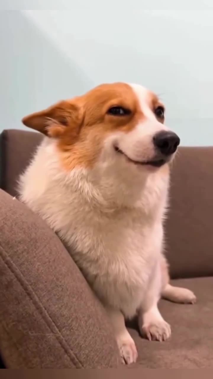 DON’T FORGET🥹 TO SMILE TODAY