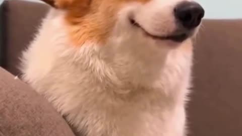 DON’T FORGET🥹 TO SMILE TODAY