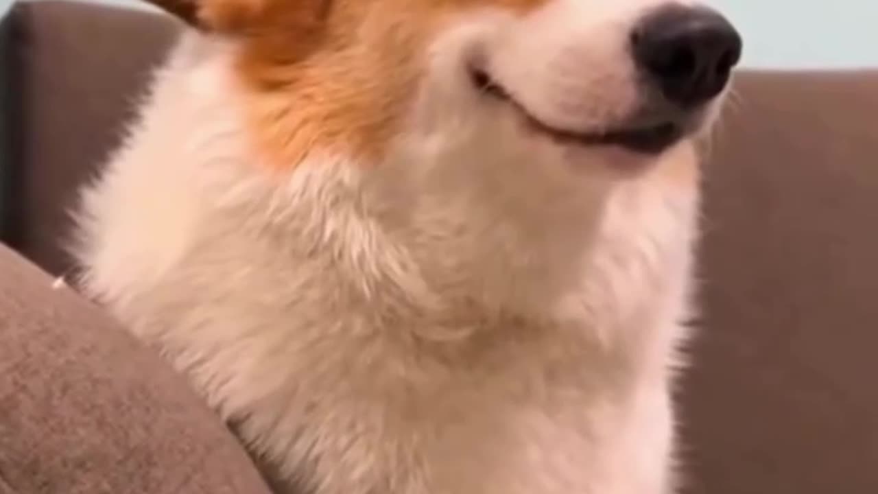 DON’T FORGET🥹 TO SMILE TODAY