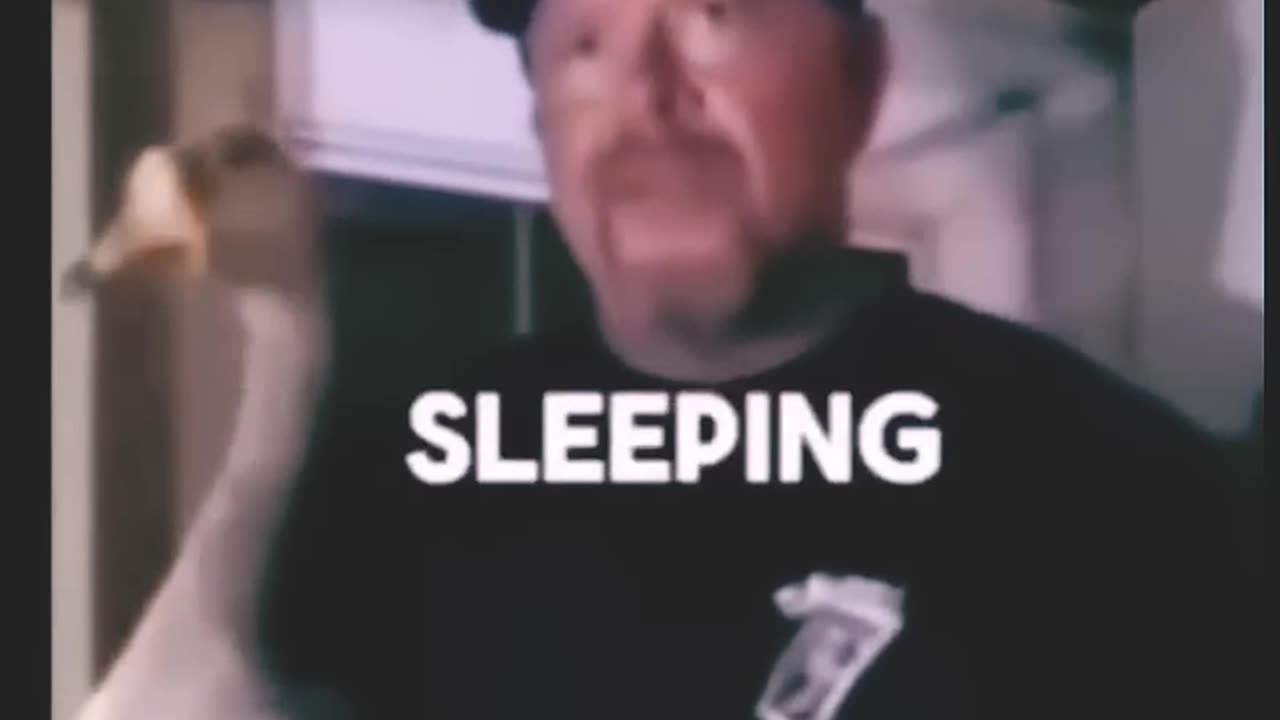 Dang!