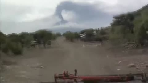 Chiens sauvages du Serengeti : ( Partie 1 ) les tueurs en meute qui déciment tout sur leur passage