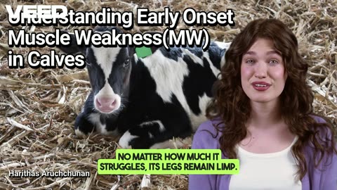 Unraveling Ealry Onset Muscle Weakness(MW) in Calves