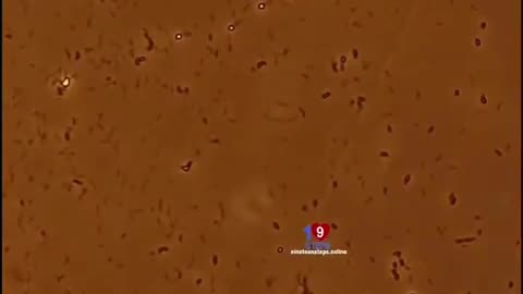 Disinfecting a surface from bacteria looks like a nuclear explosion