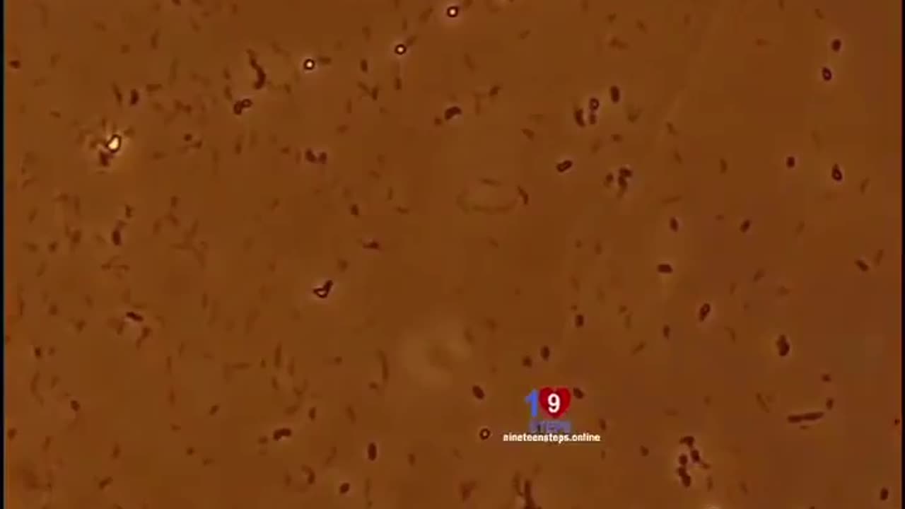 Disinfecting a surface from bacteria looks like a nuclear explosion