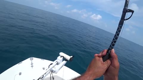 pesca a pesci grossi o big fish, parte 2, hammer shark o grande squalo martello_part13