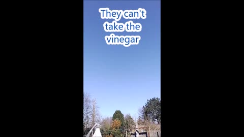 They Cannot Take The Vinegar