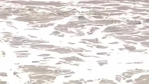 Hill Country flooding and how democrats failed their constituents