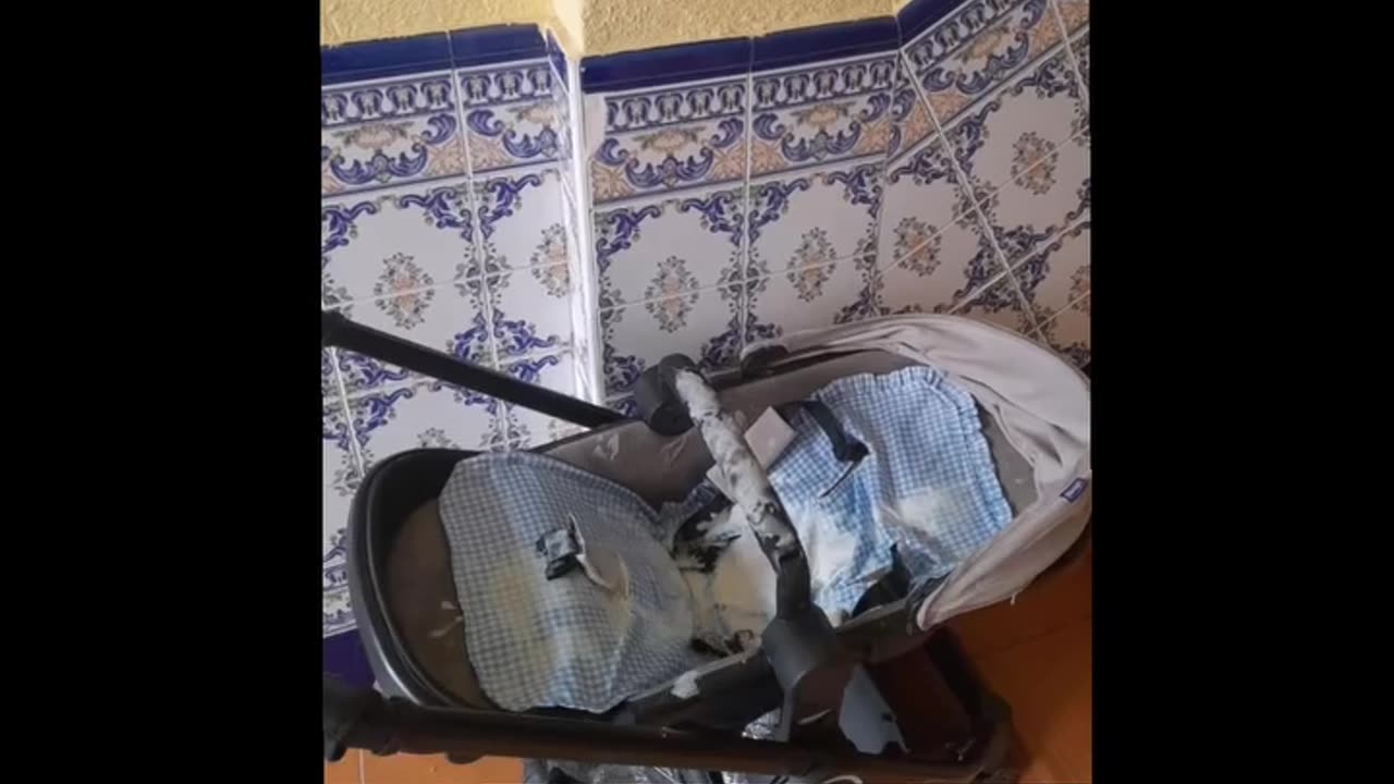 Vandalizan y destrozan un cochecito de bebé en Cáceres