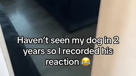 Reunited with dog after 2 years