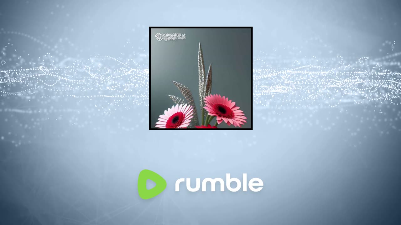 Lives streM description