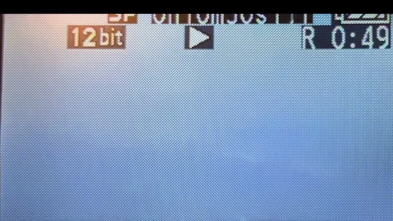 Pilot Films Creature Out The Window Midflight @ 300+ MPH