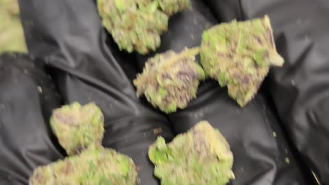 Face Off THCA Flower