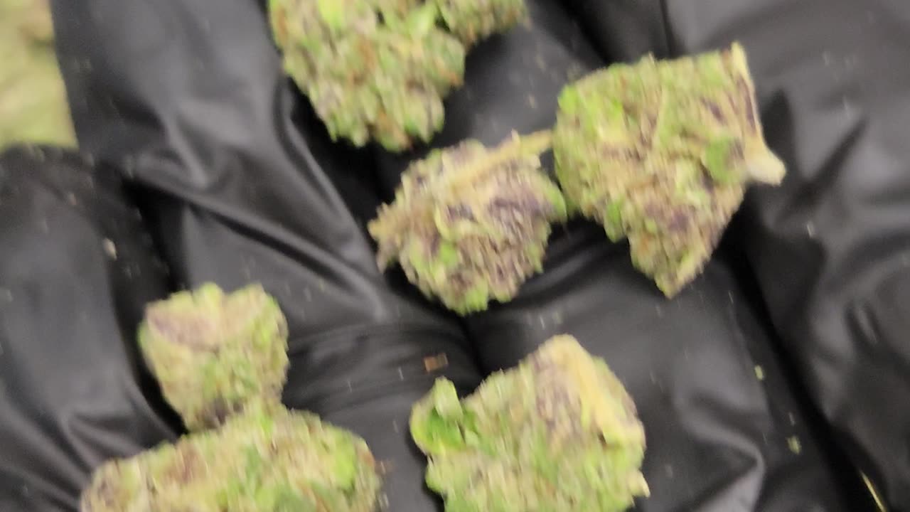 Face Off THCA Flower