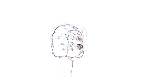 2024 Sunshine’s front and side illustrations, behind the scenes