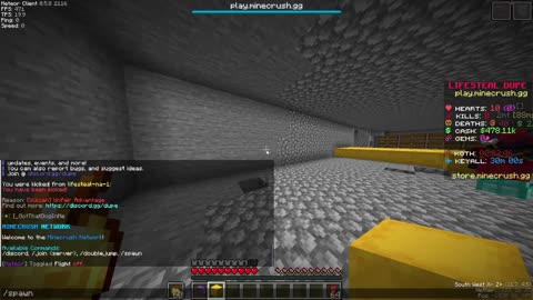 I Destroyed a Pay-To-Win Minecraft Server Using Only an Elytra!