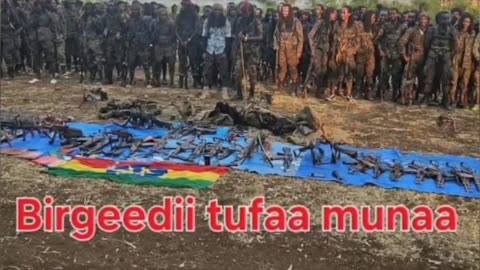 Gabaasa Tarkaanfii ONM-ABO Sadaasa 3-2025 itti dhiyaadhaa!