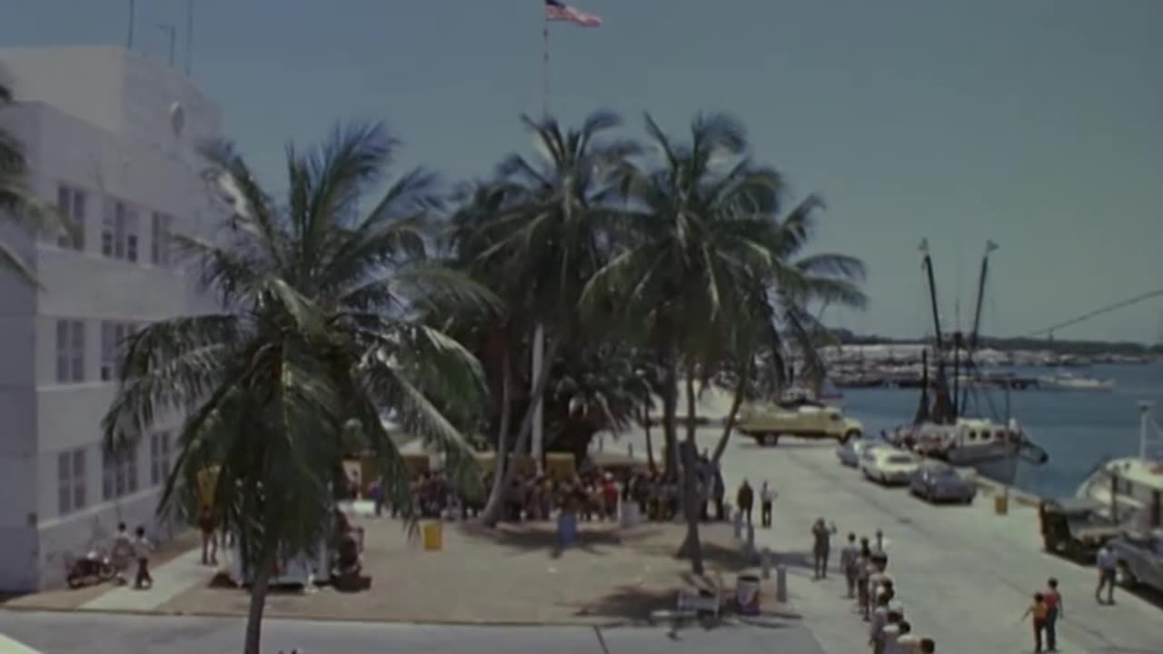 Cuban Refugees Part II - Cuban Refugees Part II - 428-npc-56750