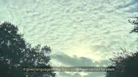 📚 The Architecture of The Sky: Geoengineering, Aerosol Operations, and Weather Modifications ✈️