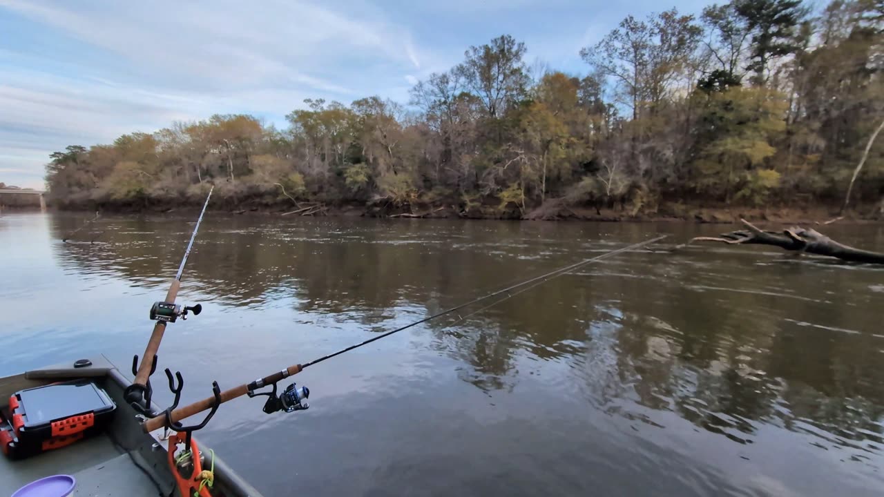 OCONEE RIVER FISHING AT BLACKSHEAR'S FERRY