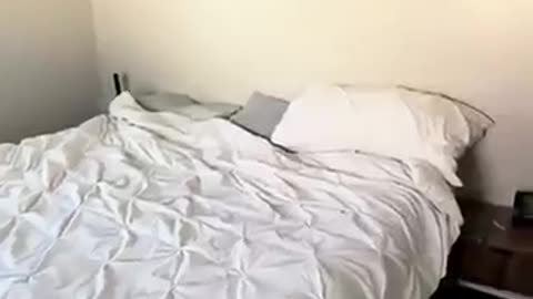 Breaking: Headboard sticker?? #trending #homedecor #fyp #viral #bed