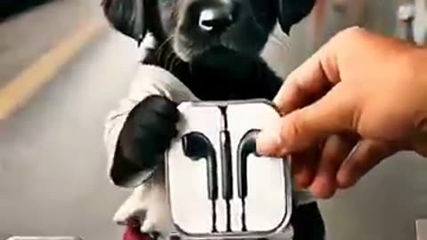 Poor puppies lost their home in a flood.#shorts#dog#ai #love #cat