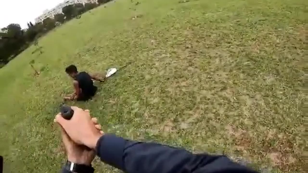 Dont Charge At Cops Even When High