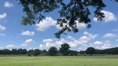 Bright sunshine and gentle breeze. There are white clouds floating in the blue sky.