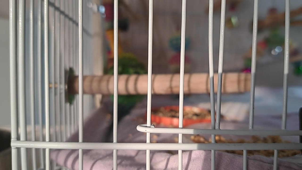 Gurgeh at Play, Pt 1