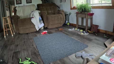training and play time .