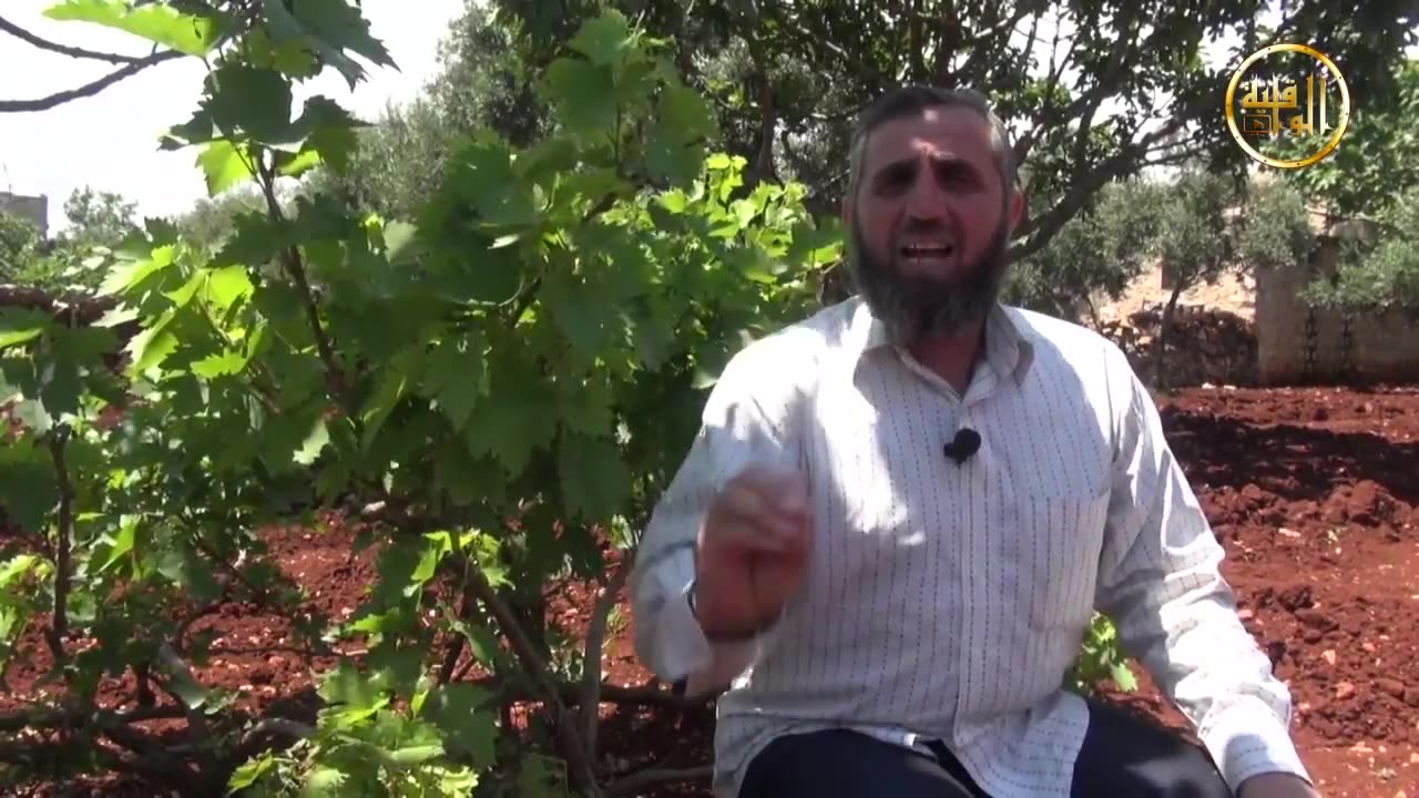 خواطر شامية أفضل من ذي يزن