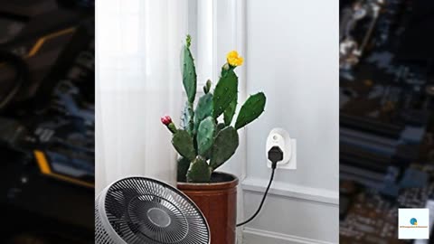 TP-LINK HS100 - Smart plug - wireless - 802.11b/g/n - 2.4 Ghz
