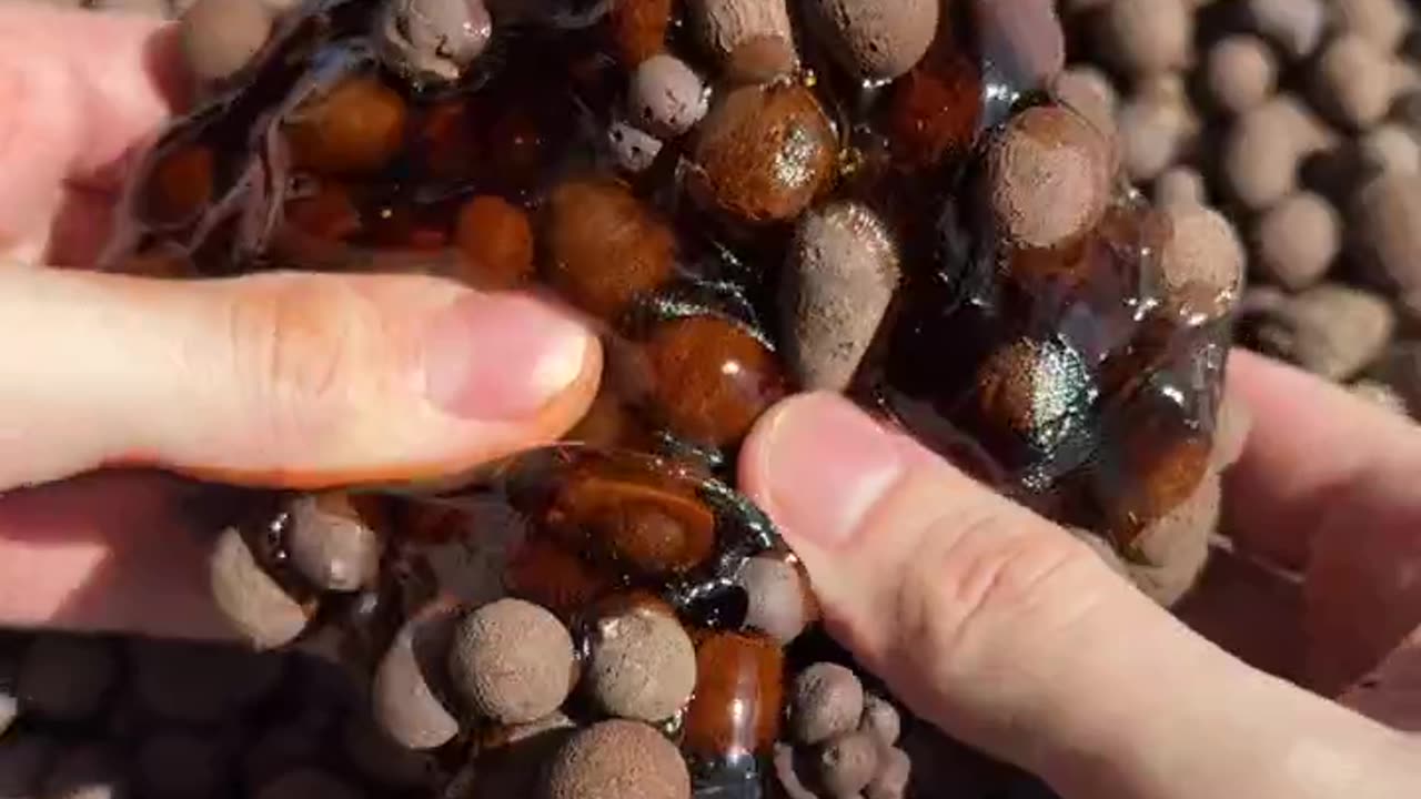 NAME THIS SLIME 💩