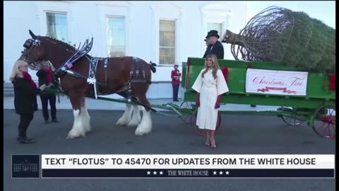 First Lady Welcomes The White House Christmas Tree