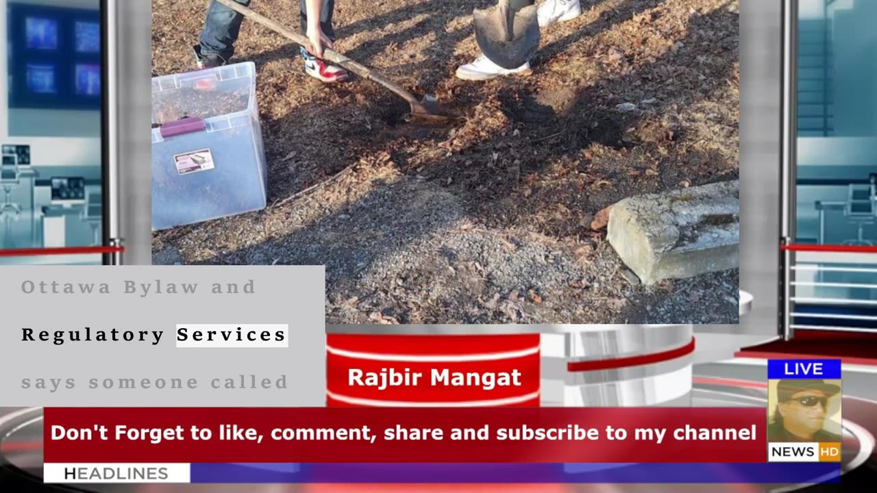 Ottawa man fined for dumping motor oil in park also told to dig up and replace contaminated soil