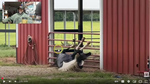 Lester LongHorn Tried To Catch Horses by Firing A Gun - Did It Work?
