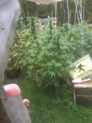 Derek Hunter WMAL dead sniper in Texas antifa written on ammo