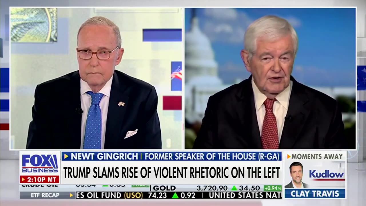 Gingrich Explains What's Causing Current National Chaos
