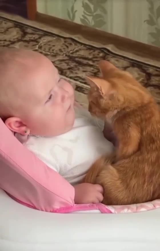 "OMG! This Cat Thinks It’s a Baby 😂"