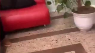 The son of a well-known African politician, undergoing treatment in Russia,