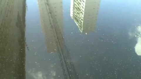 2 skyscrapers are reflected in the water on the sidewalk, the buildings are big [Nature & Animals]